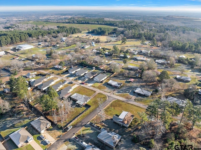 drone / aerial view