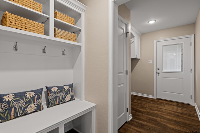 mudroom featuring dark wood-type flooring