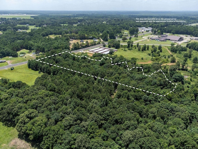 TBD Sh 149, Longview, TX 75603 - photo 4