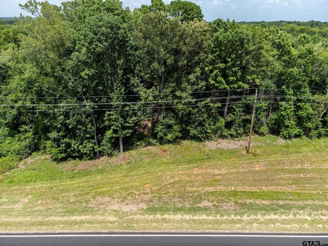 TBD Sh 149, Longview, TX 75603 - photo 1