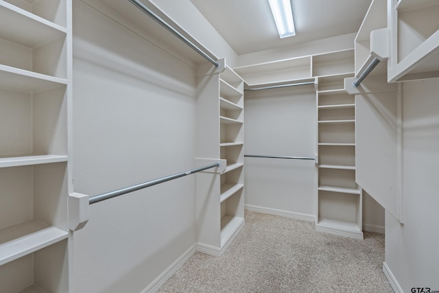 walk in closet with carpet flooring