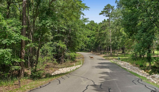 14607 Reserve Ct, Tyler, TX 75707 - view of asphalt road with a forest view