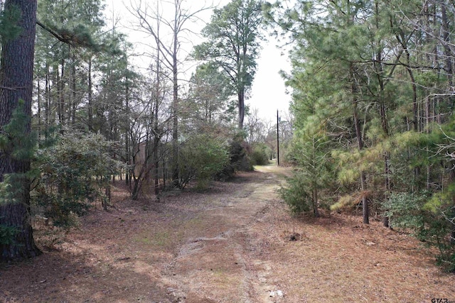 303 An County Road 2105, Palestine TX, 75803 land for sale