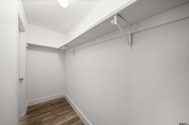 spacious closet featuring dark hardwood / wood-style floors