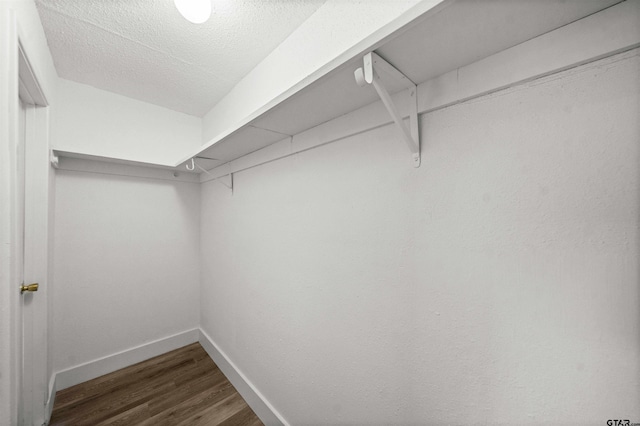 spacious closet featuring dark wood-type flooring