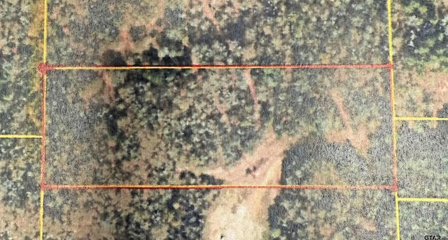 0000 County Road 2140, Troup, TX 75789 - photo 1