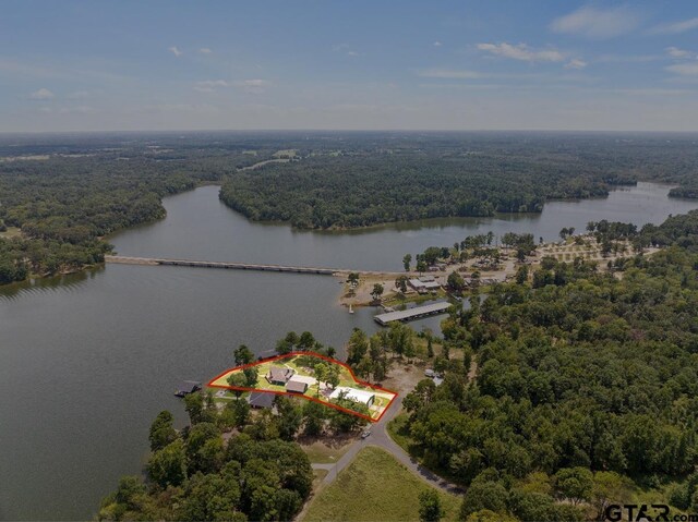 121 County Road 2317, Pittsburg, TX 75686 - photo 36