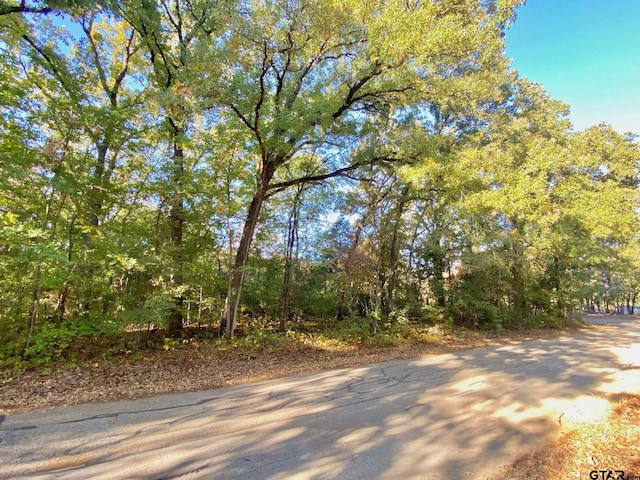 Listing photo 2 for TBD Loving Ln, Gun Barrel City TX 75156