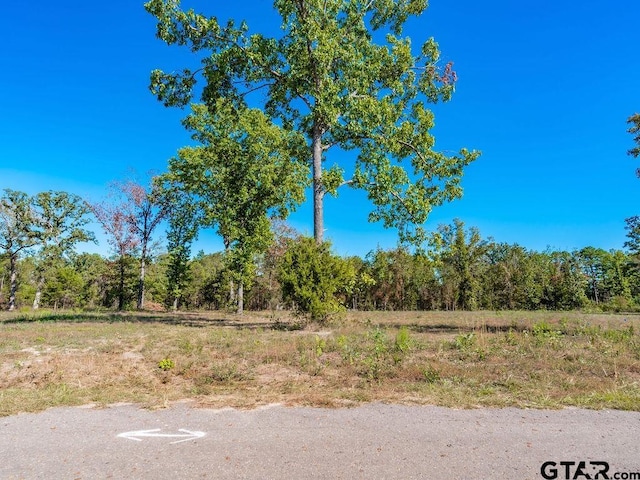 Listing photo 2 for TBD Angus Rd, Big Sandy TX 75755