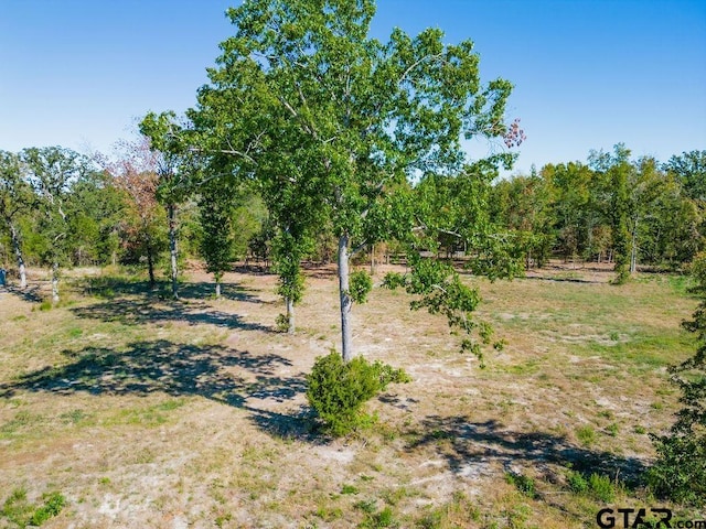 TBD Angus Rd, Big Sandy TX, 75755 land for sale