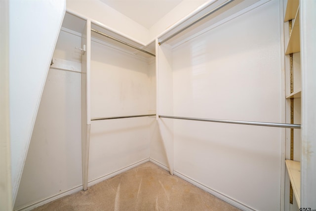 9211 Elm Tree Cir, Tyler, TX 75703 - walk in closet with light carpet
