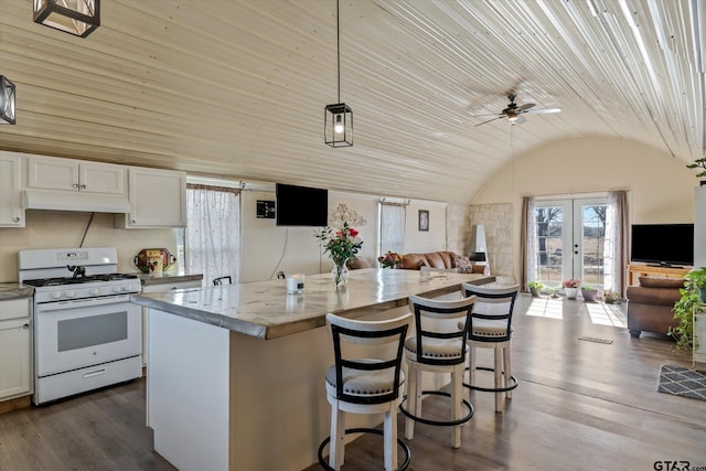 kitchen featuring white gas stove, open floor plan, dark wood finished floors, under cabinet range hood, and lofted ceiling