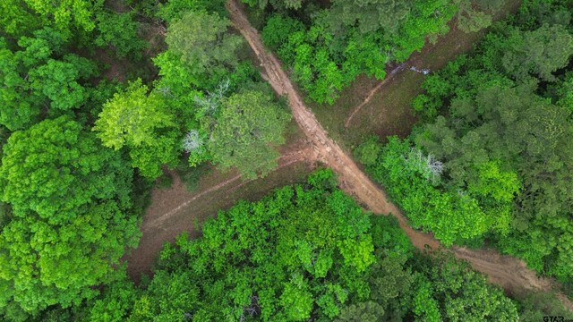 000 Fire Tower Rd, Hallsville, TX 75650 - photo 13