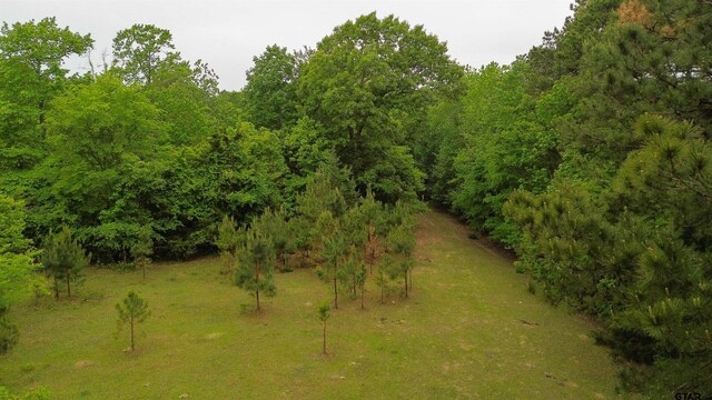 000 Fire Tower Rd, Hallsville, TX 75650 - photo 11