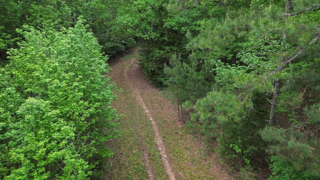 000 Fire Tower Rd, Hallsville, TX 75650 - photo 14