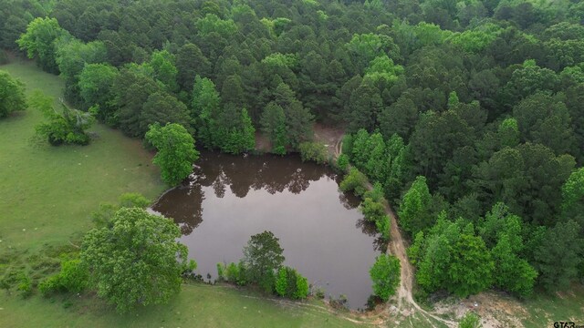 000 Fire Tower Rd, Hallsville, TX 75650 - photo 6