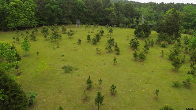 000 Fire Tower Rd, Hallsville, TX 75650 - photo 8