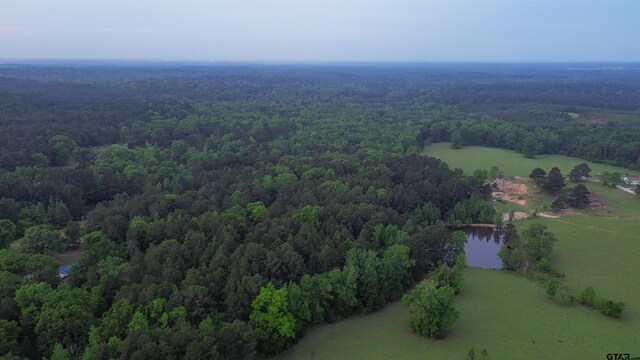 000 Fire Tower Rd, Hallsville, TX 75650 - photo 3