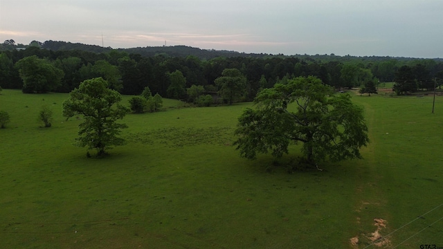 000 Fire Tower Rd, Hallsville, TX 75650 - photo 5