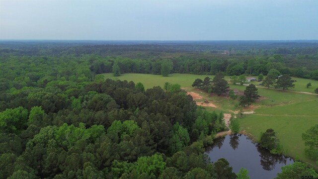 000 Fire Tower Rd, Hallsville, TX 75650 - photo 7