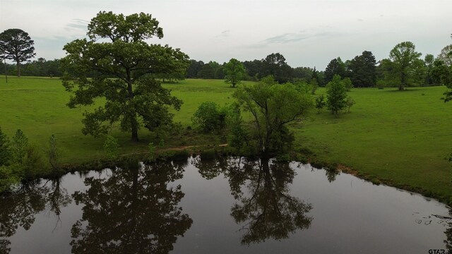 000 Fire Tower Rd, Hallsville, TX 75650 - photo 19