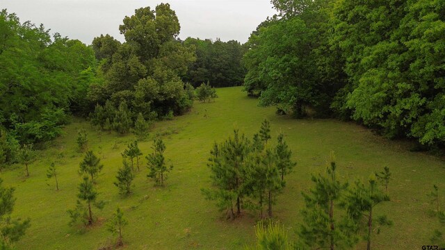 000 Fire Tower Rd, Hallsville, TX 75650 - photo 16