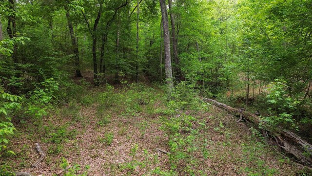 000 Fire Tower Rd, Hallsville, TX 75650 - photo 24