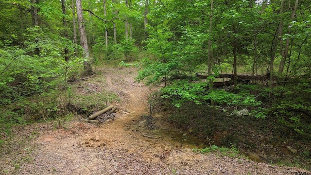 000 Fire Tower Rd, Hallsville, TX 75650 - photo 20