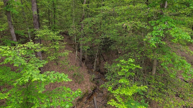 000 Fire Tower Rd, Hallsville, TX 75650 - photo 22