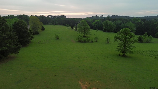 000 Fire Tower Rd, Hallsville, TX 75650 - photo 1