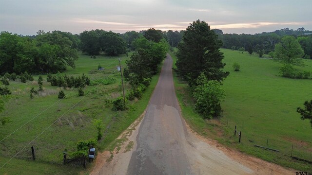000 Fire Tower Rd, Hallsville, TX 75650 - photo 4