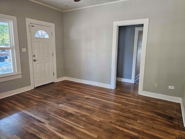 foyer entrance featuring dark hardwood / wood-style flooring, ceiling fan, and crown molding