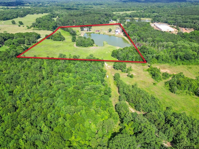 2711 N Fm 250, Hughes Springs, TX 75656 - aerial view of property's location with a nearby body of water and property parcel outlined