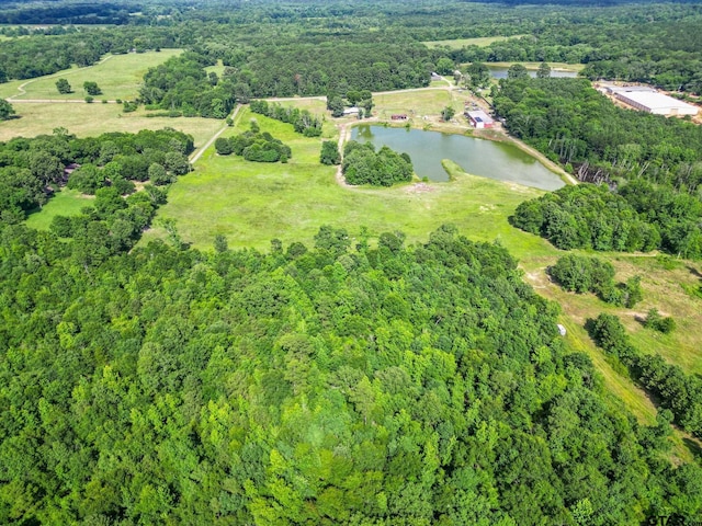 2711 N Fm 250, Hughes Springs, TX 75656 - aerial view of property and surrounding area featuring a large body of water and a forest