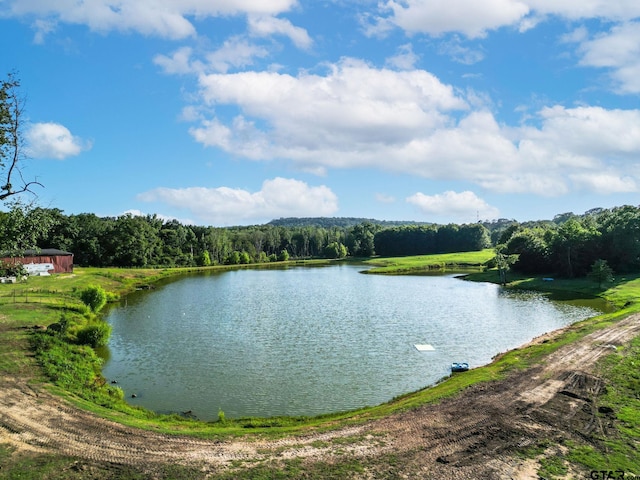 2711 N Fm 250, Hughes Springs, TX 75656 - water view with a forest