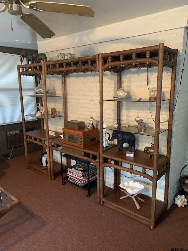 storage room featuring a ceiling fan