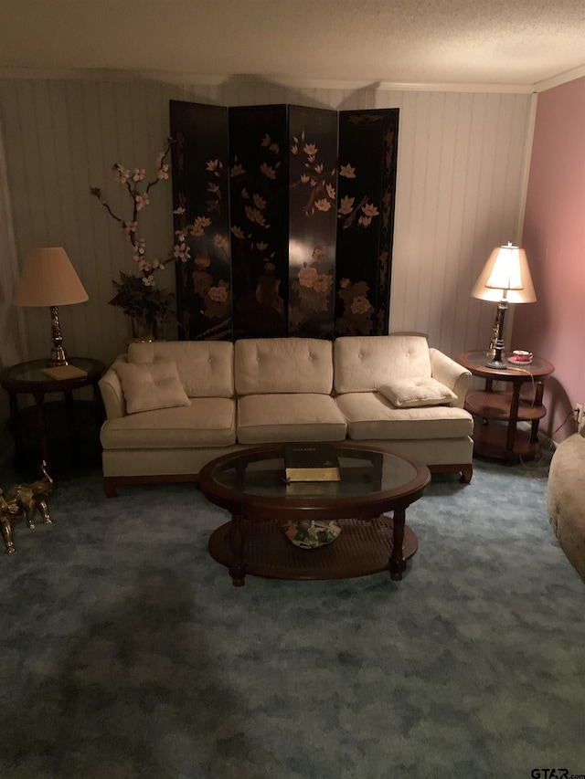 carpeted living area with a textured ceiling