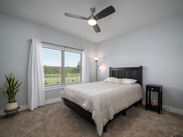 217 Providence Pl, Bullard, TX 75757 - photo 29