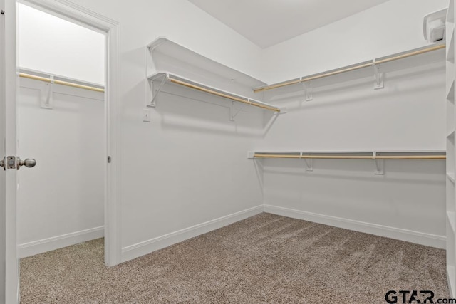 walk in closet with carpet flooring