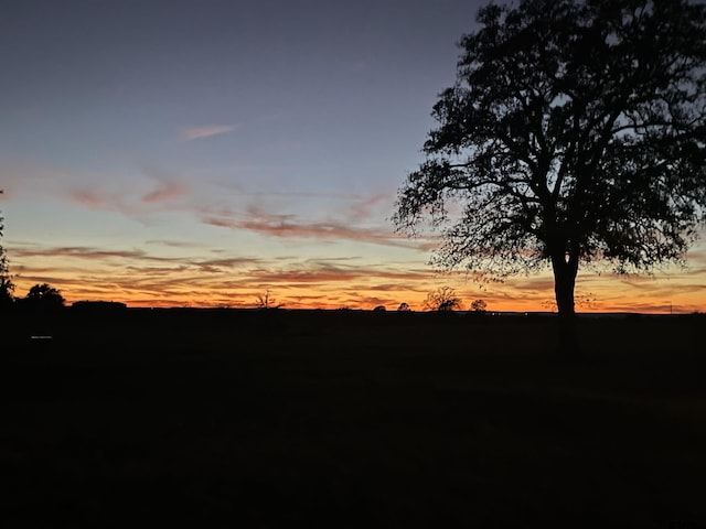 1210 Fm 2137 N, Bullard, TX 75757 - view of nature