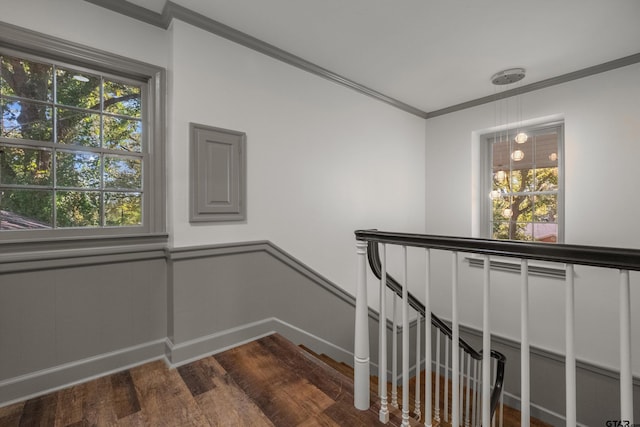 stairway featuring ornamental molding, plenty of natural light, wood finished floors, and a wainscoted wall