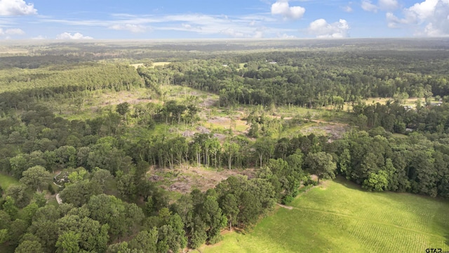TBD County Road 4135, Overton, TX 75684 - photo 6