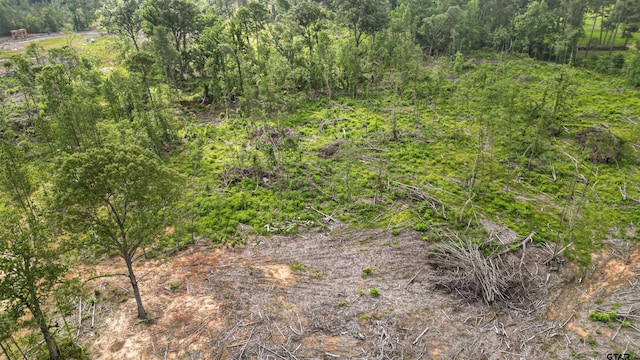 TBD County Road 4135, Overton, TX 75684 - photo 1