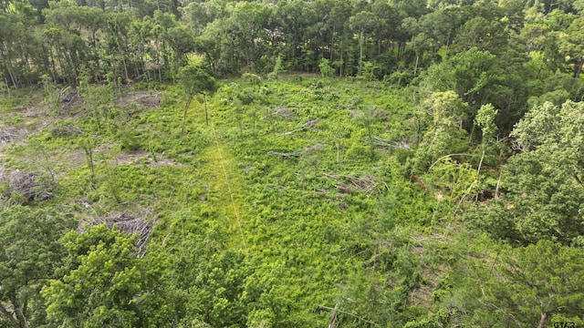 TBD County Road 4135, Overton, TX 75684 - photo 3