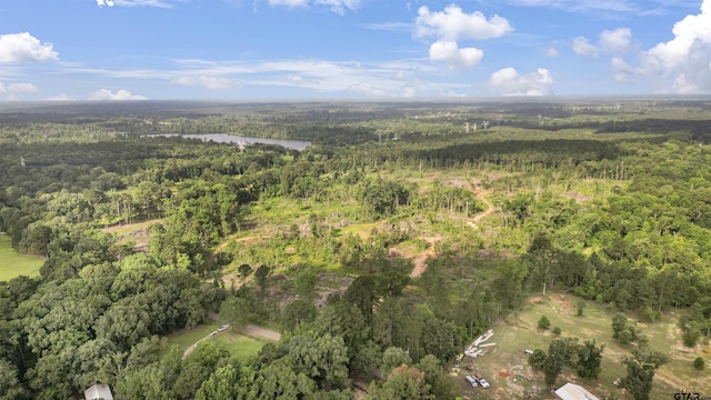 TBD County Road 4135, Overton, TX 75684 - photo 11