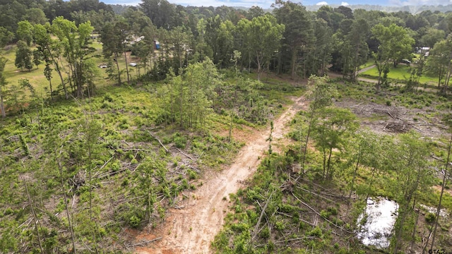 TBD County Road 4135, Overton, TX 75684 - photo 8