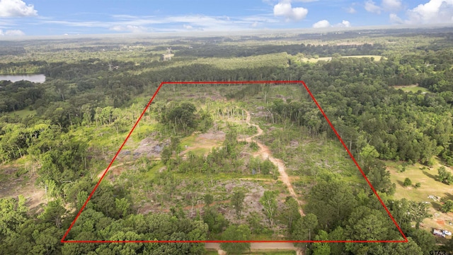 TBD County Road 4135, Overton, TX 75684 - photo 12