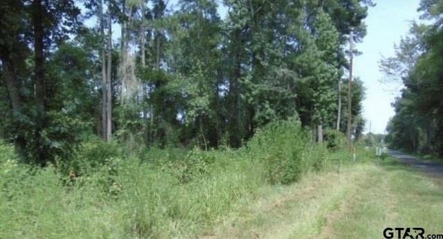 260 Chelsea Ln, Bullard, TX 75757 - photo 4