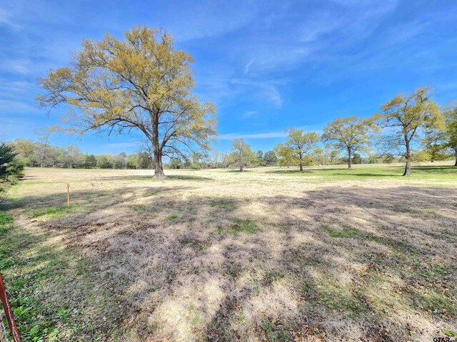 LOT3 Nandena Rd, Gilmer, TX 75644 - photo 2