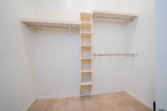 spacious closet featuring carpet